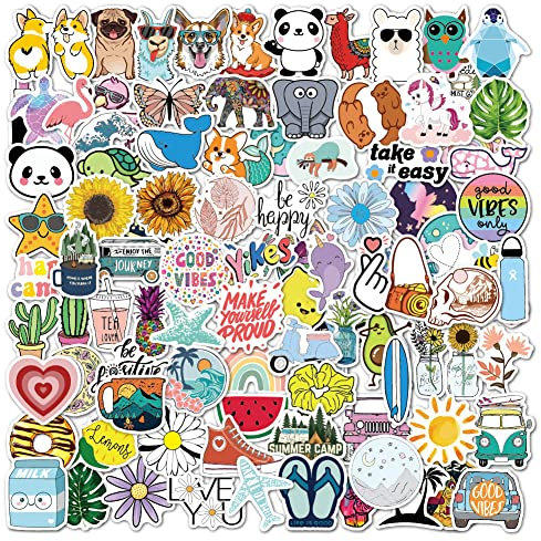100 Stück Sticker Aesthetic,Vinyl Sticker丨Vsco Sticker Laptop Sticker Aufkleber Set für Wasserflaschen,Skateboard,Handy usw
