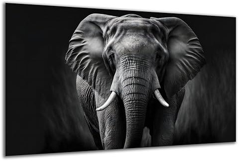 DARO Design - Wand-Bild auf 6mm HDF 40x30 cm Elefant Portrait schwarz weiß - Wand-Deko Bilder Geschenk