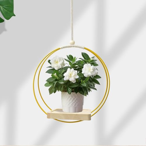 chausa Macetero Colgante Macetas para Colgar Decoracion Hogar Plantas Colgantes Soporte Plantas Hogares Oficinas y Espacios Creativos Dirigido a Amantes de Las Plantas y Decoradores(Dorado)