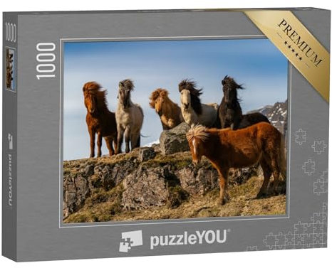 puzzleYOU: Puzzle 1000 Teile „Eine Herde von Island-Pferden im rauhen Wind“ – aus der Puzzle-Kollektion Pferde, Islandpferde