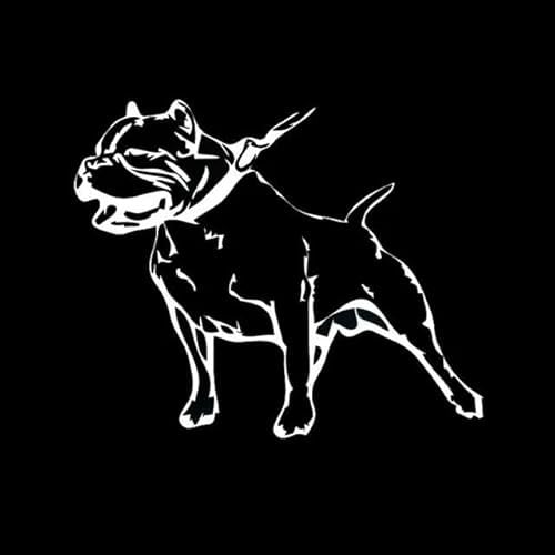 14.6 x 12.1CM American Bully Niedliches Haustier Hund Dekoration Vinyl Heckfenster Thema Autoaufkleber für Motorrad, Fahrrad, Laptop, Kühlschrank, Handy, Helm, Deko-Aufkleber