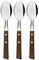 Tramontina Traditional Table Spoon Set of 3 with Elegant Natural Wood Handles, Stainless Steel, Metal, stainlesssteel