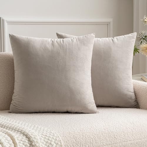 MIULEE Set mit 2 Kissenbezügen aus Samt, dekorativ, für Sofa, Kissenbezug, glatt, weich, bequem, Dekoration für Haus, Wohnzimmer, Schlafzimmer, für Sofa, 40 x 40 cm, Champagner