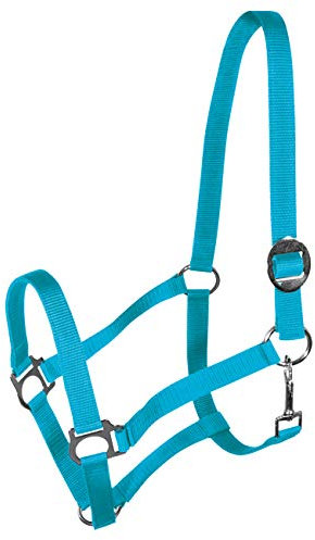 York Nylonhalfter Halfter Genickstück Verstellbar durch Schiebeschnalle Harmony Pferdehalfter (Pony, türkis)