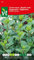 Peppermint Mentha spicata, Fresh Minty Flavour. Seeds