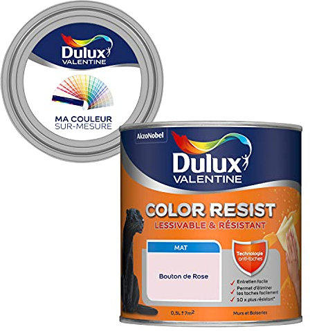 Ma Couleur Sur-Mesure par Dulux Valentine – Peinture Intérieure Murs, Plafonds, Boiseries - Palette Jeu, Pièce à Vivre Mat, Bouton de Rose , 0,5 L
