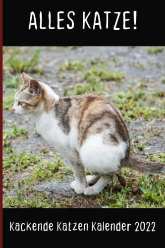 Kackende Katzen Kalender 2022: Das lustige Geschenk für Männer, Frauen, Freunde und Katzenliebhaber zum Geburtstag oder Weihnachten