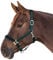 Waldhausen Perlonhalfter Satin, tannengrün, Pony