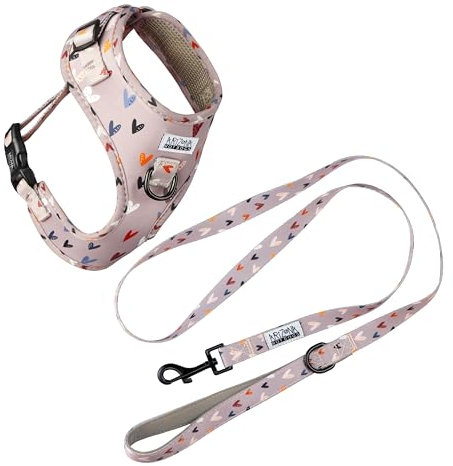 Hundegeschirr mit Leine für große Hunde | Arizona Hotdogs Softgeschirr Sweet Love | Leine Nylon 1,5m | Herzmuster | (L)