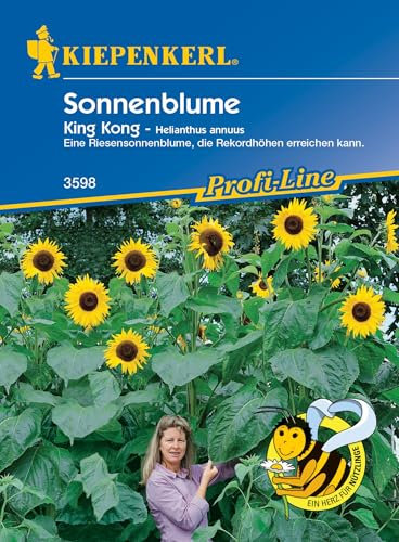 Kiepenkerl Profi-Line Sonnenblumensamen King Kong 3598 - Riesensonnenblume, die Rekordhöhen erreichen kann - Wuchshöhe bis 4,5 m - Saatgut, Blumenwiese
