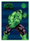 Coperta Plaid Morbida e Calda 100x140cm per Bambini Pile con stampa (HULK AVENGERS)