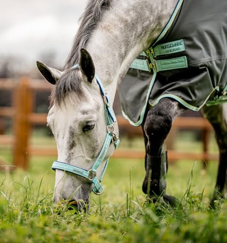 Horseware® Fieldsafe Halfter