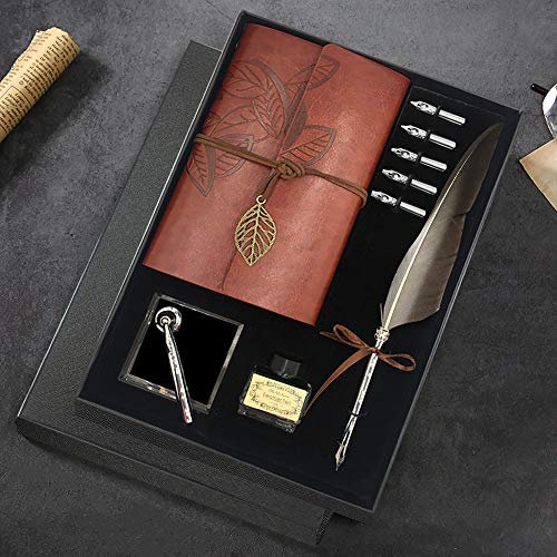 Schreibfeder und Tinte Set, Kalligraphie Füllfederhalter Mit 5 Ersatzfedern, Sockel für Stift, Notizblock, Geschenkbox (Grau)