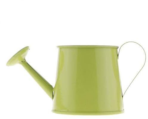 ZAANU Regadera de jardinería 4X, regadera Retro de hojalata, regadera galvanizada