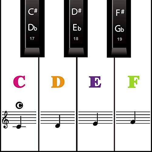 MUYOS Piano Keyboard Stickers for 54/61/88 Keys – Transparent & Removable Piano Keyboard Note Stickers and Piano Key Labels for Kids and Beginners (Sticker Color)