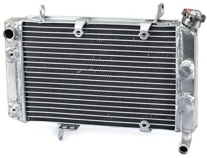 RAQXOLPB Compatible con LTZ 400 400Z para Quadsport 2003 2004 2005 2006 2007 2008 Radiador Enfriador De Motor Depósito De Refrigerante De Motocicleta Botella Tanque Radiadores para Moto