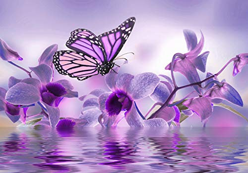 wandmotiv24 Fototapete violett Orchidee, XL 350 x 245 cm - 7 Teile, Wanddeko, Wandbild, Wandtapete, Blumen, Wasser, Schmetterling M3739