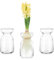 Glasseam Kleine Vasen für Tischdeko, Modern Flower Vase Glas Tulpenvase Design, Durchsichtig 3 Vasen Set für Hyazinthe Pflanzen Anzucht, Dekorative Blumen Vasen Deko für Hochzeit Wohnzimmer