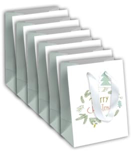 Clairefontaine X-29538-3Cpack- Packung 6 Geschenktasche - Tüte Excellia, Format M (21,5x10,2x25,3 cm), 210g, geeignet für Geschenke, Weihnachten Schnee, 1 Pack