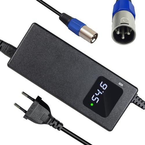 YANGZIDIANYUAN 54,6 V 2 A Cargador para E-Bike E-Scooter 48 V 13S batería de litio con conector XLR de 3 pines, cargador de batería de iones de litio de 48 V con ventilador integrado en pantalla