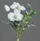 DPI Christrose und Mistel Zweig geeist ca. 35 cm lang Mistelzweig Christrose Weiss