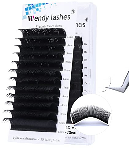 WENDY LASHES Classic Individual Eyelashes C Curl 0.05mm 14-20mm Mixed Tray Individual Eyelash Extensions Classic Lashes Semi Permanent Silk False Lash Extensions(0.05-C-MIX(14-20))