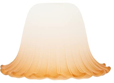 OSALADI Geblümter Mattierter Glas-Lampenschirm - Europäischer Ersatz für Pendelleuchten, Steh- und Wandlampen - 18 X 18 X 11.5Cm