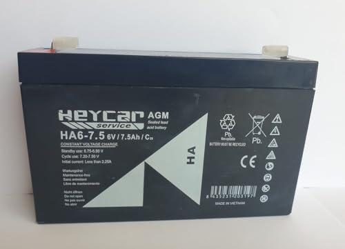 INDALCHESS BATERIA Recargable DE 6V Y 7,5AH para Coches ELECTRICOS DE NIÑOS