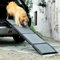 BestVida® Haustierrampe (180 x 50 cm), Hunderampe für Auto, SUV und LKW, Faltbare und tragbare Haustierrampe mit Rutschfester Teppichoberfläche, leicht Stabil, extra breite Hundestufen
