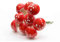 Fliegenpilze am Draht 38mm x 12 Stück Kunststoff Pilze Deko Glückspilze zum Basteln rot / Selezione Varzi Addobbo Pilz Weihnachtsbaum Roter Blumenstrauß 4 cm 5Pz Papierkorb Varzi
