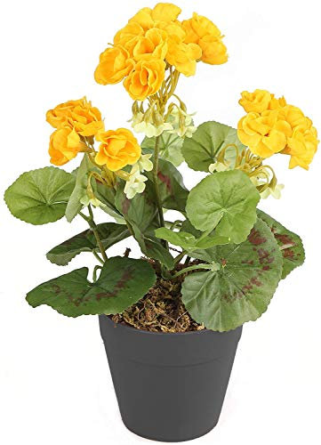Best Artificial 24 cm lange Geranien-Pflanze, Topf nicht im Lieferumfang enthalten (gelb).