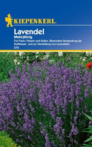 Kiepenkerl Lavendelsamen mehrjährig, Blumensamen für Duftkissen und Aromagärten, Wuchshöhe 40-50 cm, Beruhigend und Erfrischend