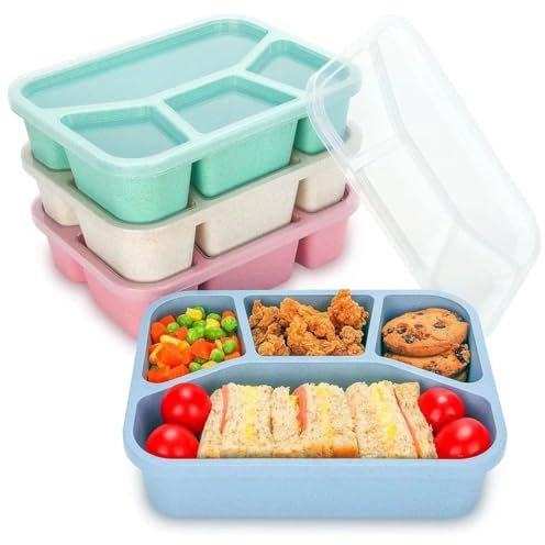 Yuzita 4 Pack Bento Snack Boxes, 4 Compartment Meal Prep Containers, Reusable Meal Prep Lunch Containers for Kids Adults, Divided Food Storage Containers for School Work Travel
