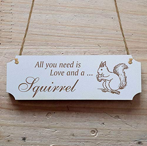 Schild « NIEDLICHES EICHHÖRNCHEN » 15 x 5 cm - Dekoschild Holzschild Türschild Zoo Safari Tierpark Squirrel
