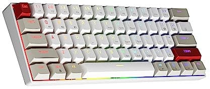 NEWMEN GM610 Wireless Mechanical Gaming Keyboard, 60% USB C Wired/Bluetooth RGB Backlit Compact Hot Swappable, White Anti-Ghosting PC Mac Windows Android (Blue Switches)