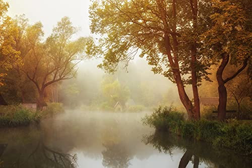 WALD Fototapete VLIES-350x260 cm (6316A)-Natur Landschaft Bäume Nebel See Herbstwald Fotokunst Wandtapete-Inkl. Kleister-Vliestapete Bild Dekoration Wand-Dekor Moderne Motiv-Tapete Panorama Poster