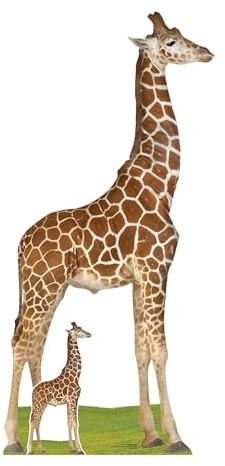 Star Cutouts SC4568 Giraffe Cardboard Cut Out Height 196cm - Ideal for Animal Lovers, Birthdays & Room Decorations