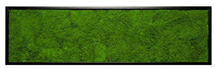Moosbild Wandbild mit Moos, Moosplatte, versch. Maße (100% Flachmoos) (schwarz, 140x40 cm)