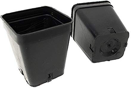 GREEN24 20 Stck. Pflanztöpfe 5 x 5 x 6 cm Mini - Vierecktopf Profi Anzuchttopf Pflanztopf Blumentopf Vierkant-Töpfe (20 Stück)