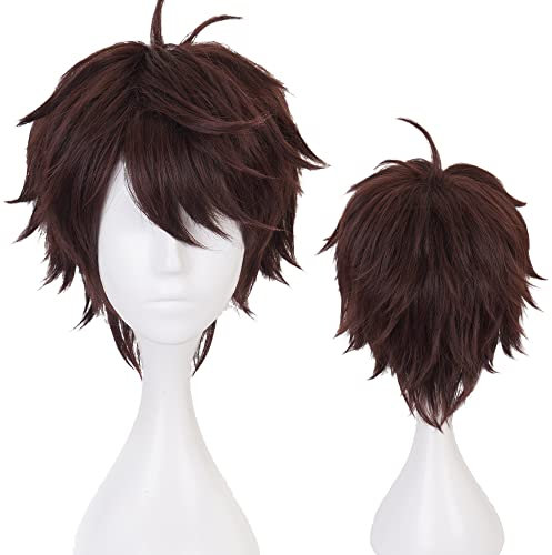 maysuwell Dunkelbraune Perücke für Cosplay Kostüm Männer Kurz Anime Natürlich Weich Party Haarteile