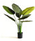 Valyria Home - Planta Artificial Ave del Paraíso 80 cm – Strelitzia Realista Pequeña para Decoración de Hogar y Oficina – Planta Tropical de Plástico – Bananero Artificial