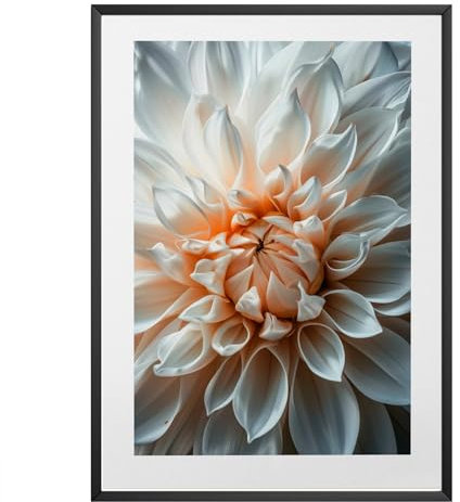 MJ-GRAPHICS® - Kunstdruck Dahlie Blume - Fotografie weiße Blätter - Wandbild Din A2 in Galerie Qualität dickes 300g Posterpapier - Natur Bild Raumdeko Wohnzimmer & Schlafzimmer - ohne Bilderrahmen