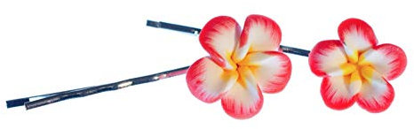 Miniblings Fleur Lot de 2 clips cheveux cheveux épingle pince à cravate été fleur romantique fleur - Bijoux mode main I accessoires cheveux pinces à cheveux pinces à cheveux