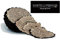 200g Tartufo Nero Estivo Scorzone Fresco 1°Scelta - Tartufi Freschi Tuber Aestivum Vitt. - ATTENZIONE: per TARTUFO ITALIANO scegliere il venditore MARTELLI TARTUFI cui si riferiscono immagini e testo