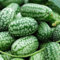 10 Stück Nette Mini Wassermelonen Samen Miniatur Obst Home Yard Garten Decor Pflanze Gartensamen für das Pflanzen jetzt