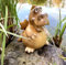 LB H&F Wasserspeier Drache Miniteich mit Pumpe Teichfigur Gartendrache Keramik Deko Wasserspiel Gartenteich Terrasse/Balkon (Drache)