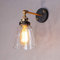 PETITES ECREVISSES Applique Murale Intérieur Industrielle Vintage E27 Plafonnier Luminaire Rétro Abat-jour en Verre Réglable Éclairage Cuisine Salle à Manger Salon Chambre