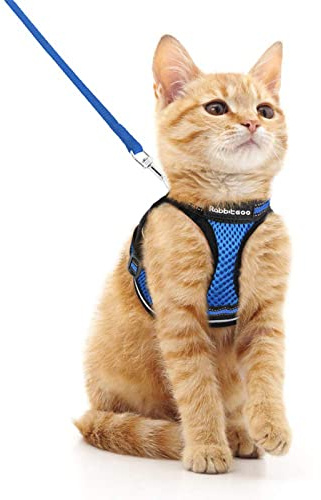 rabbitgoo Katzengeschirr mit Leine, Weich Step-in, M, Marineblau