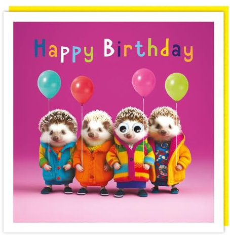Lustige Geburtstagskarte – Karte für Frauen – Igel und Luftballons – verziertes Kulleraugen-Design – hergestellt in Großbritannien – umweltfreundlich