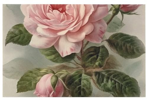 Badteppich, Wohnzimmerteppich, Vintage, schöne Rose, waschbar, Outdoor-Teppich, saugfähig, Badezimmermatte, Teppich, rutschfest, für Innenbereich, Terrasse, Veranda, Garten, Balkon